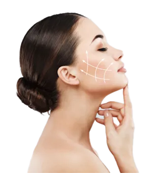 shape